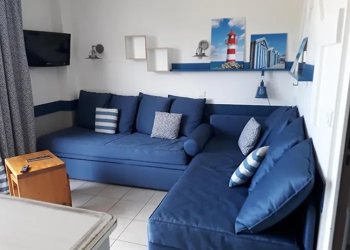 Villa 6 Pers Pierre Et Vacances Belle Dune